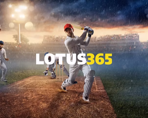 lotuss 365 book